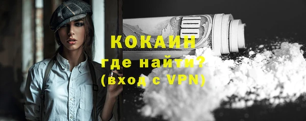 спайс Арсеньев