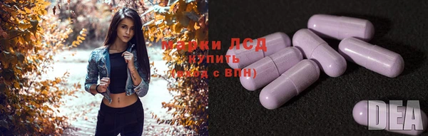 соль ск Алзамай